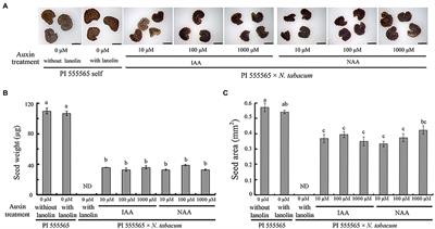 Parental Genome Imbalance Causes Hybrid Seed Lethality as Well as Ovary Abscission in Interspecific and Interploidy Crosses in Nicotiana